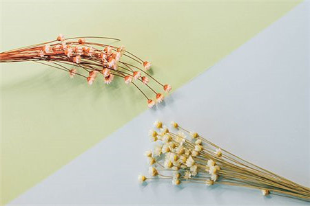 深圳自考應該如何復習？